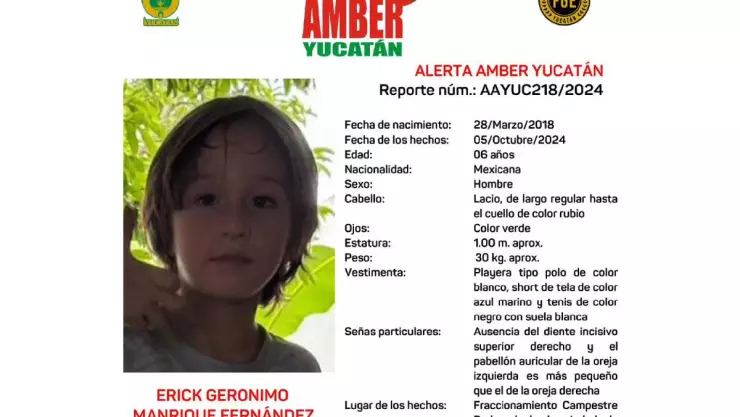 alerta amber pequeño extraviada
