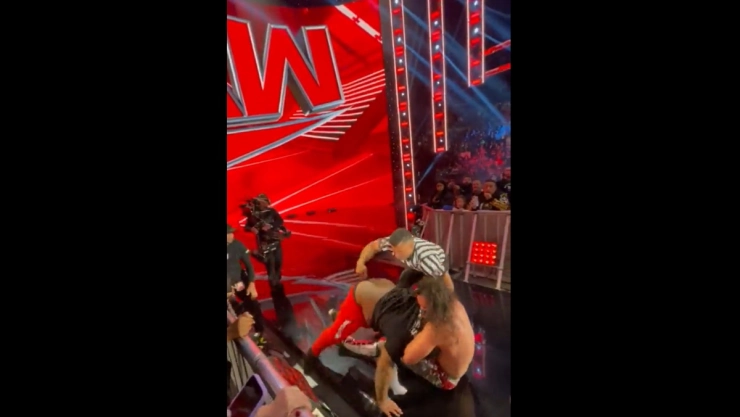 fan seth rollins wwe