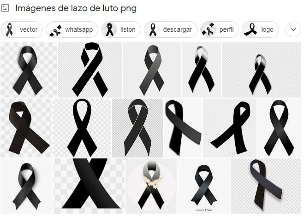WhatsApp, moño negro, perfil.jpg