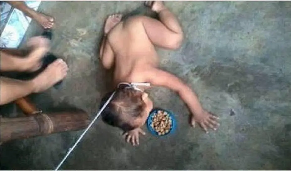bewbeperro2.jpg