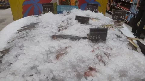 Martimiércoles de Chedraui: Precios bajos en pescado y camarón