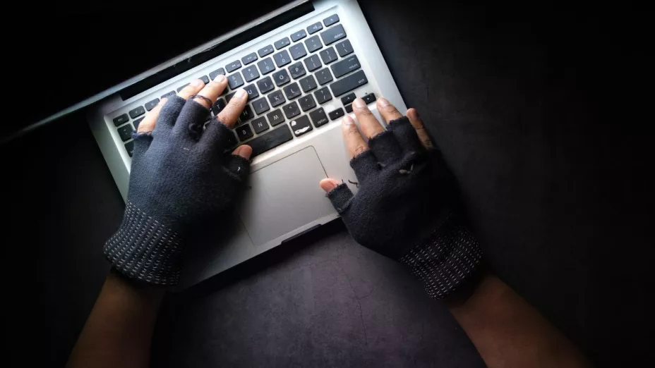 Detienen a 40 miembros de red internacional de pornografía infantil en Perú.
