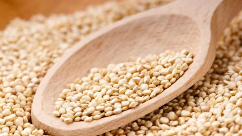 Quinoa