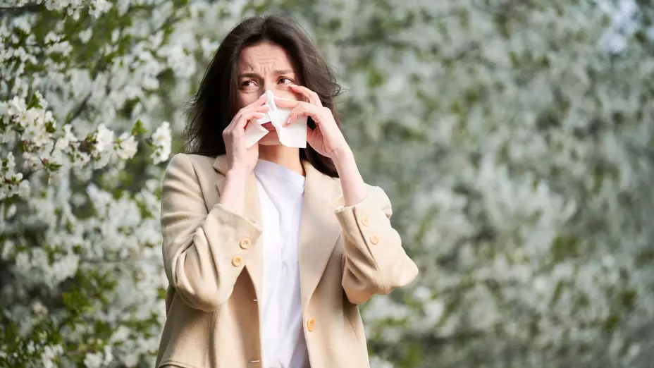 casos de rinitis alérgica