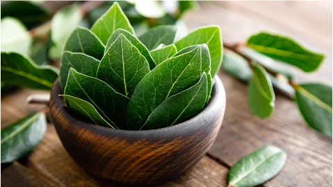 ritual hoja de laurel