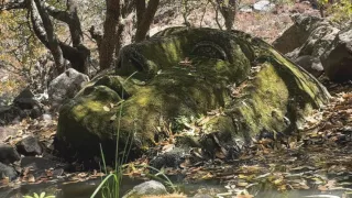 ¿Cómo llegar a las Cabezas Gigantes de Escolásticas?