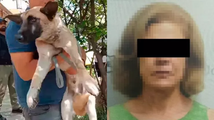 Vinculan a proceso a Catalina “L” por delito de maltrato animal en el Fraccionamiento Revolución