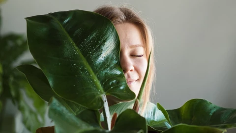 5 plantas que intervienen en el tratamiento del cáncer de mama