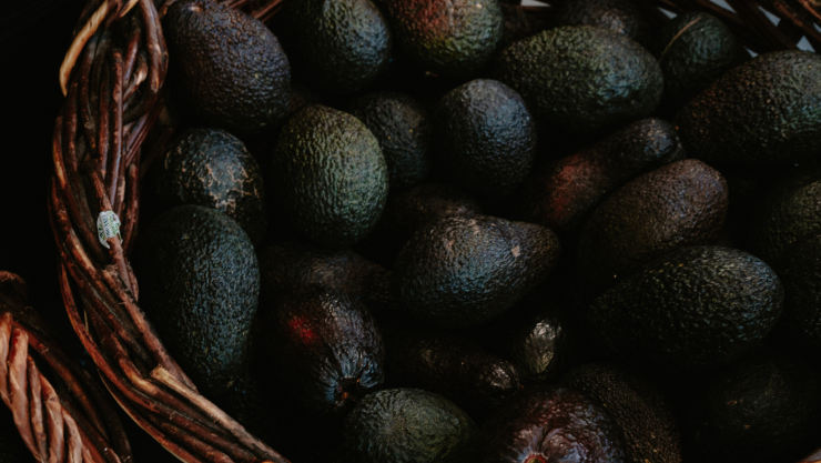 ¿Qué es la “mano de aguacate” y cómo prevenir esta grave lesión?