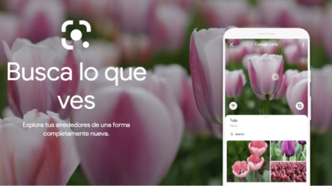 google lens fotos buscar