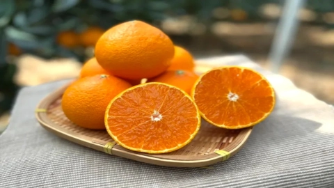 Guerra de frutas en Asia: Es ocasionada por el robo de la semilla “Benni Princess”