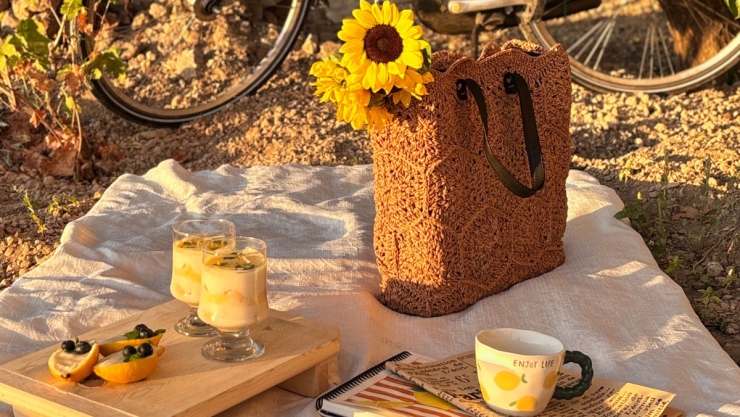 /estilo-de-vida/crochet-bolsos-aesthetic-tejido