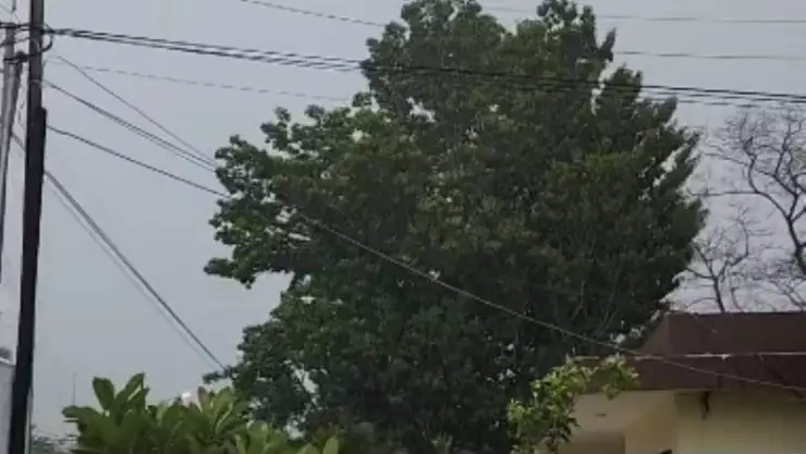 VIDEO_ Así se registraron los primeros vientos en Mérida que indican la llegada del Huracán Beryl en Yucatán