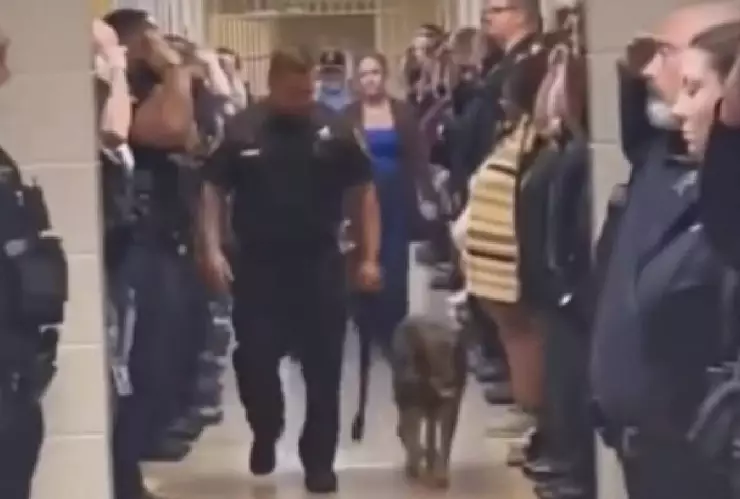 VIDEO Perrito policía con cáncer terminal es despedido con honores por sus compañeros
