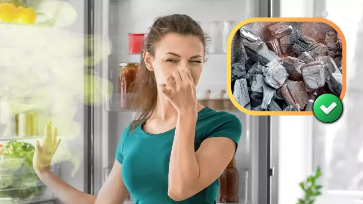 como-eliminar-malos-olores-nevera-carbon-de-barbacoa
