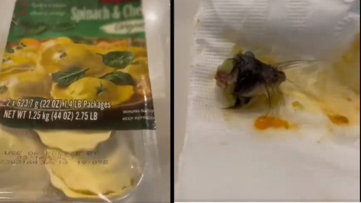Mujer encuentra cabeza de ratón dentro de unos raviolis congelados