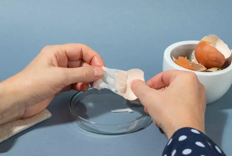 Paso a paso para hacer colágeno casero con cáscara de huevo y lucir radiante