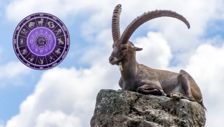 Horóscopo mensual Capricornio ¿Qué le depara a tu signo en julio 2024?