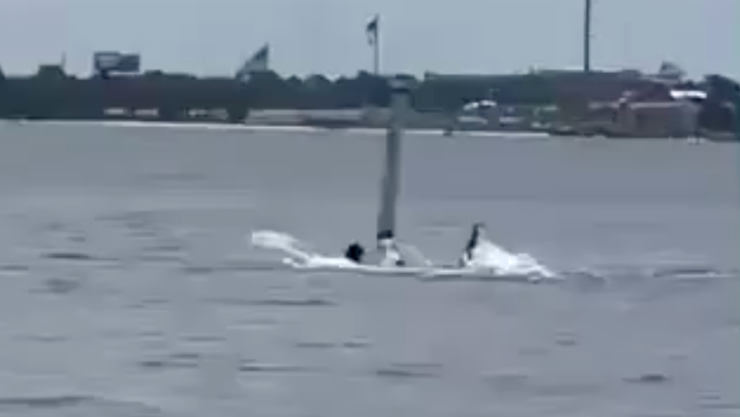 ataque de tiburón en Florida