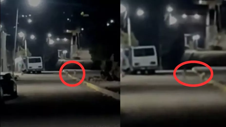 VIDEO: Captan a extrañas criaturas en calles mexicanas, ¿eran duendes?