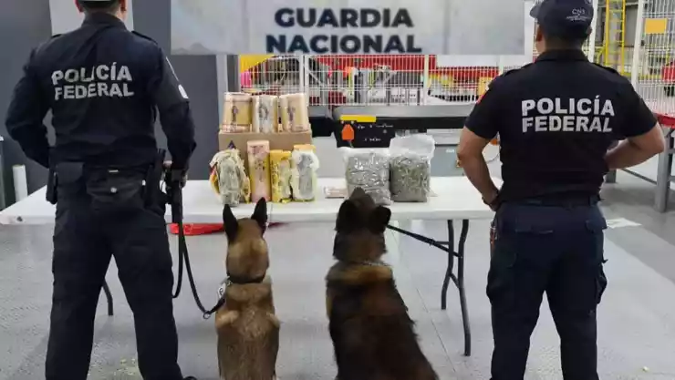 guardia nacional droga aeropuerto queretaro.jpg