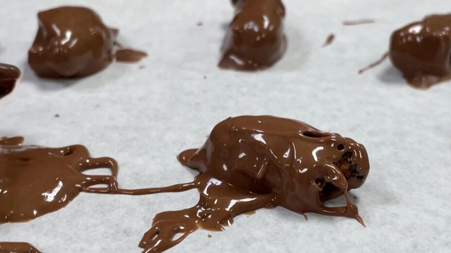 Cigarras bañadas en chocolate, la nueva sensación en Estados Unidos.