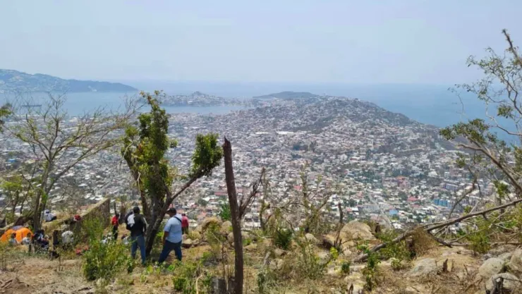 reforestación acapulco