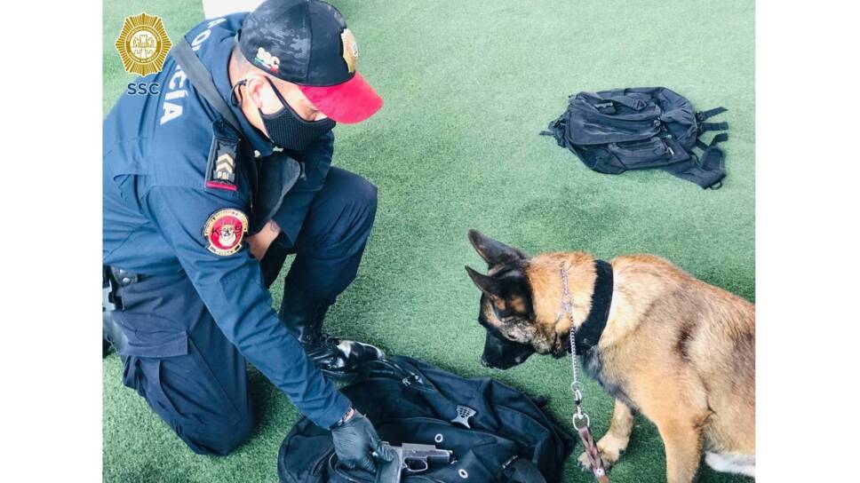 Unidad canina PBI