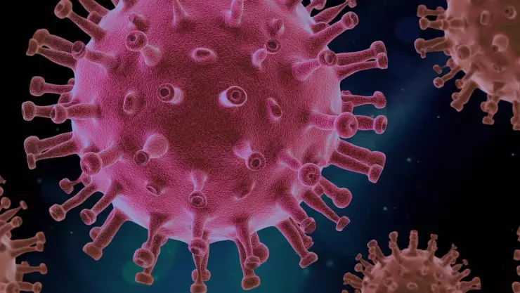 Virus HMPV 2025: ¿Qué estado de México ya tiene contagios?