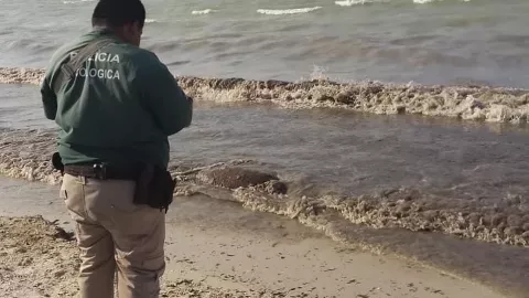 Hallan tortura MUERTA en costa de Progreso (FOTOS)