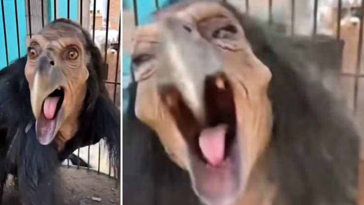 Video de bruja en Catemaco