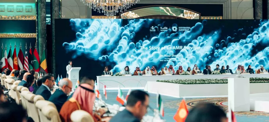 ONU antibioticos.jpg