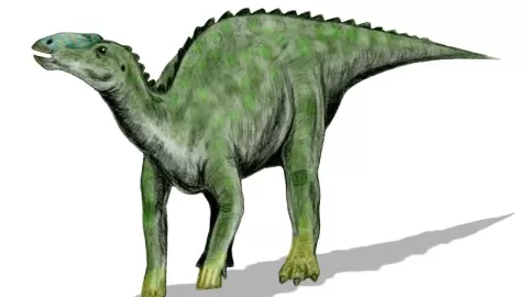 Dinosaurios, México 4.jpg