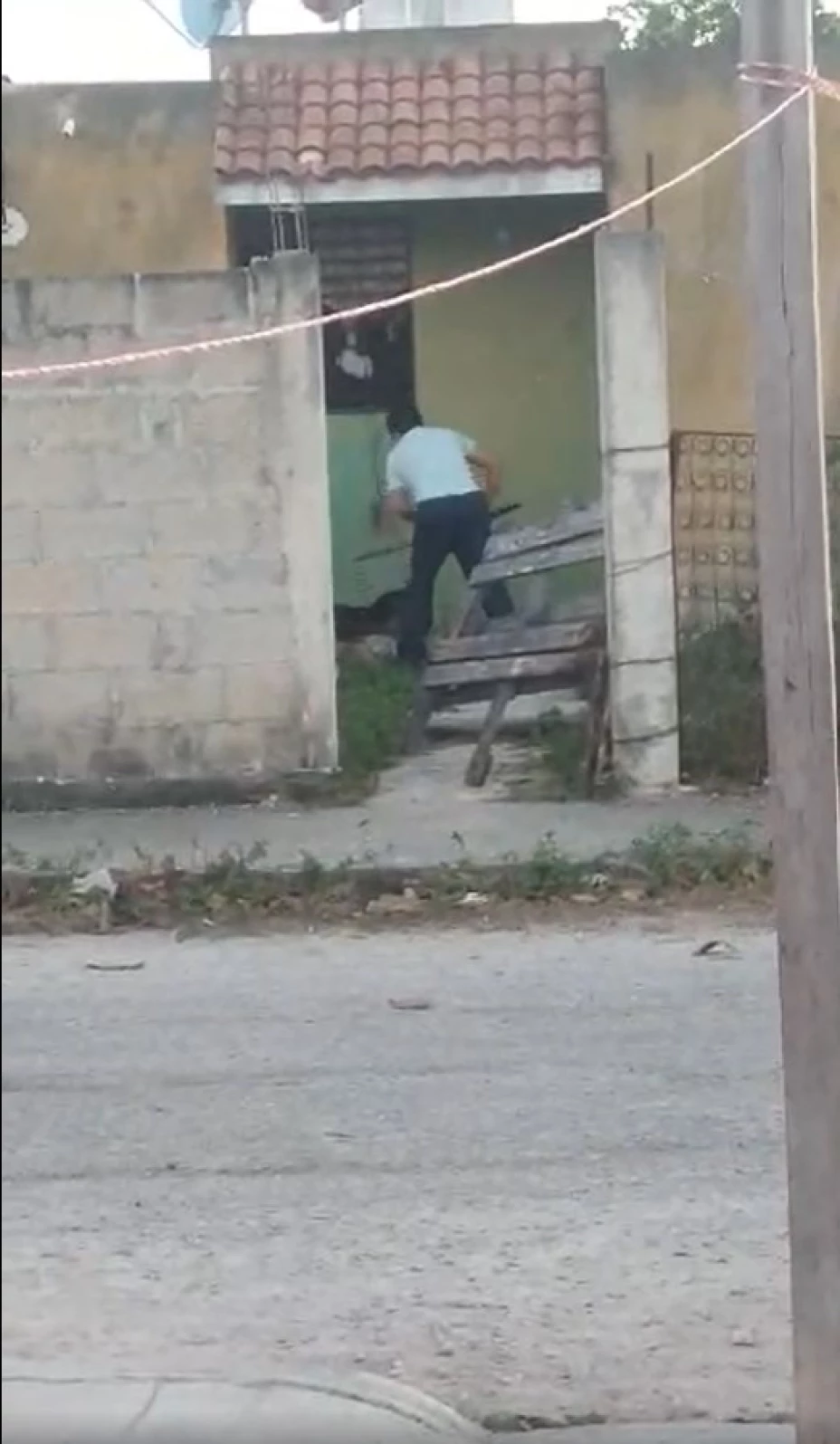 caso de maltrato animal sur de merida