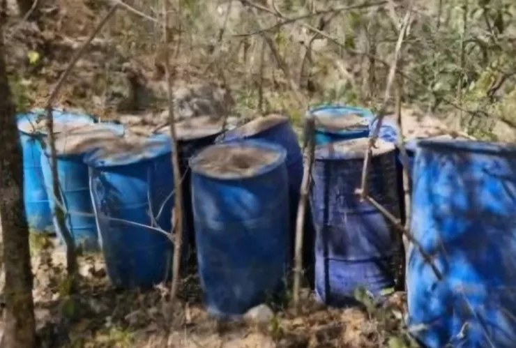Laboratorios clandestinos Culiacán