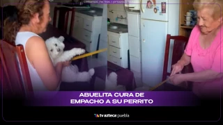 PERRITO.png