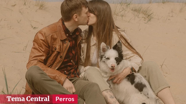 Por qué es bueno tener tu lomito en tu perfil de Tinder Por qué es bueno tener tu lomito en tu perfil de Tinder