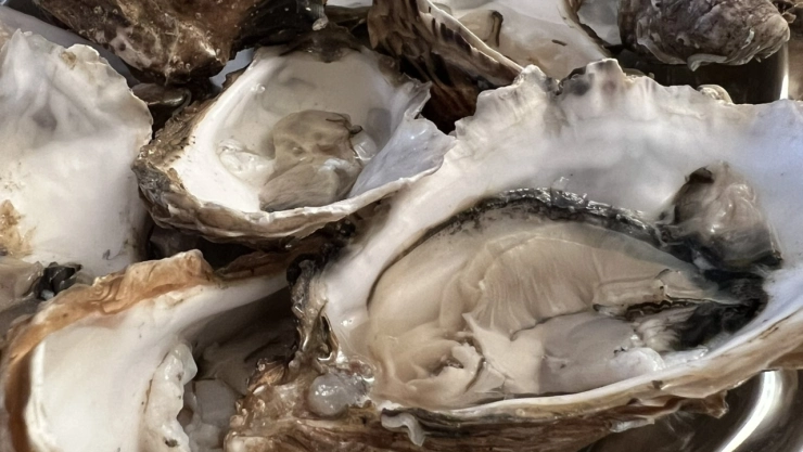 Las ostras cultivadas en la península de Baja California y Sonora podrían estar contaminadas con norovirus