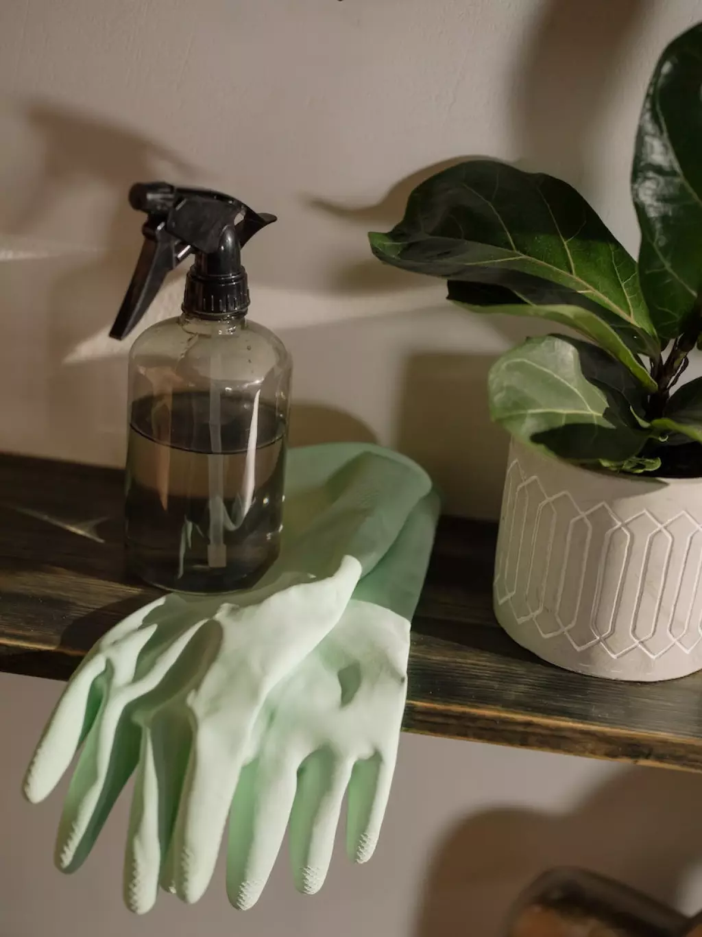 limpiar plantas para controlar plagas