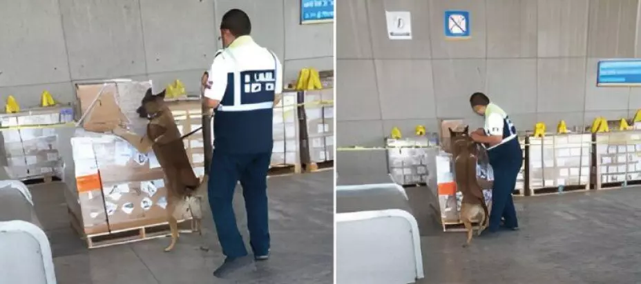 Metanfetaminas aduanas.jpeg