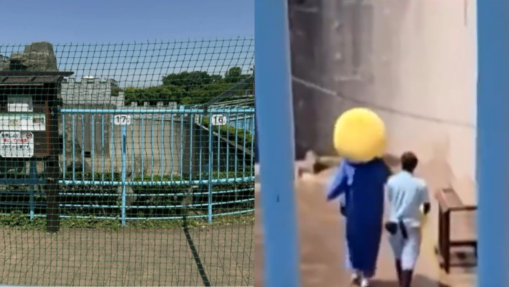 Ya no se podrá ver a ‘Punch’.