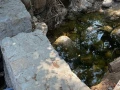 Jardín-Botánico-Acapulco-filtración-agua.jpg