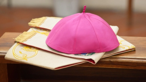 Papa Francisco