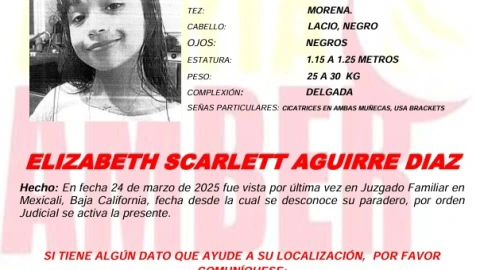 Ficha de Elizabeth, menor desaparecida en México