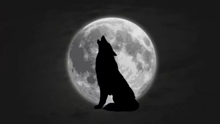 Descubre a qué hora ver la Luna llena del 13 de enero de 2025 en México, conocida como Luna de Lobo