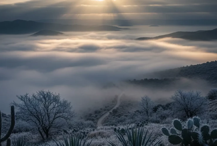 Amanecer más frío en Guanajuato enero 2026