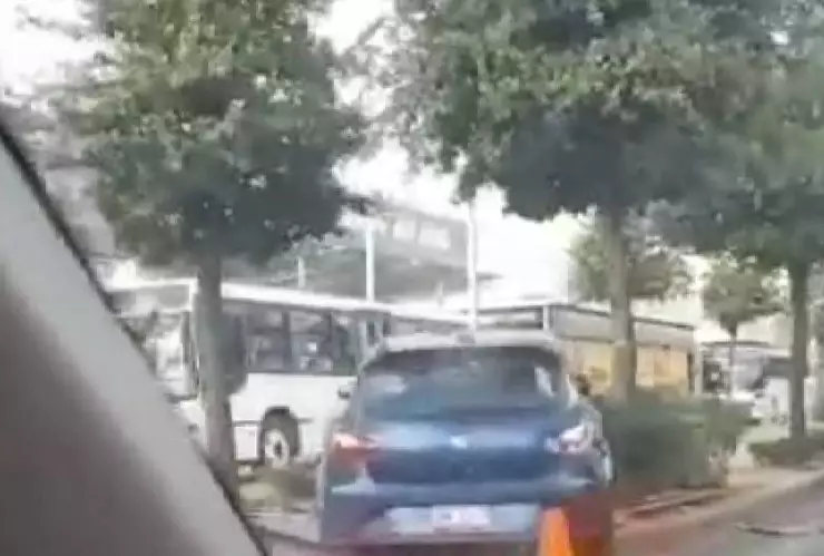 Proyecto nuevo (17).jpg