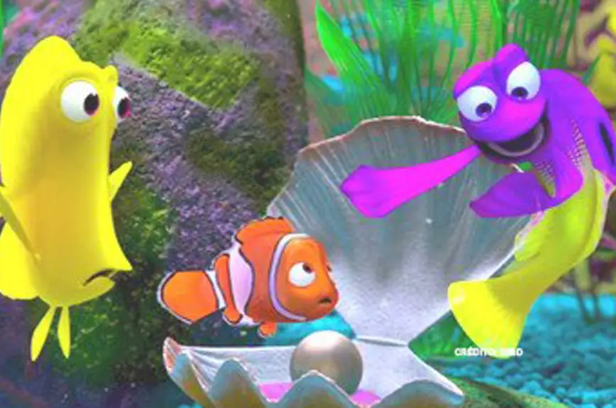 buscando-a-nemo
