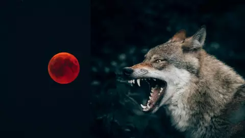 Eclipse lunar 2025_ ¿El hombre lobo saldrá hoy 13 de marzo de 2025