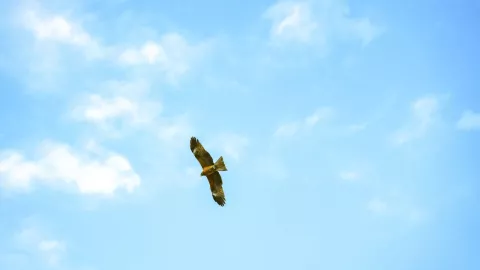 Cómo está la calidad del aire en Torreón este martes 12 de febrero 2025